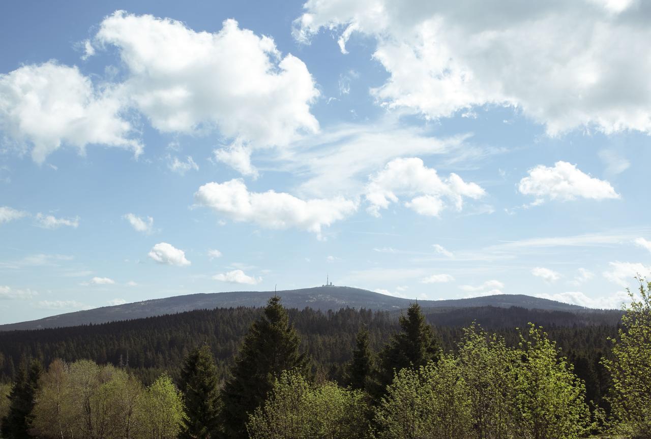 Landhaus Fischer Sankt Andreasberg Exteriör bild